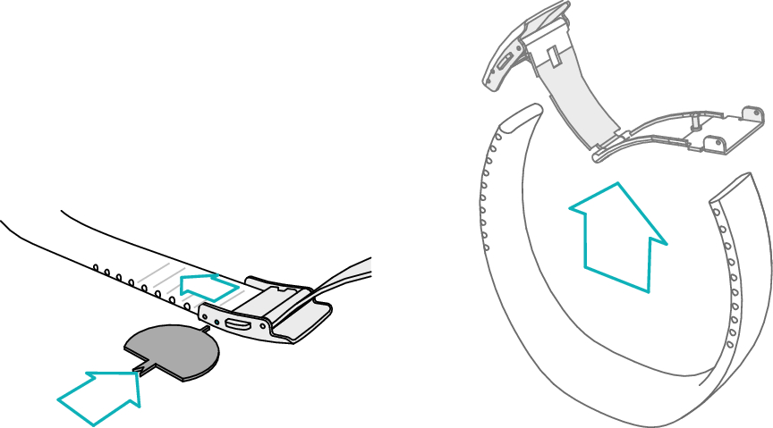 2. GET STARTED | Polar Loop User Manual | English
